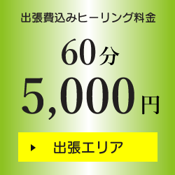 出張費込みヒーリング料金 60分5,000円